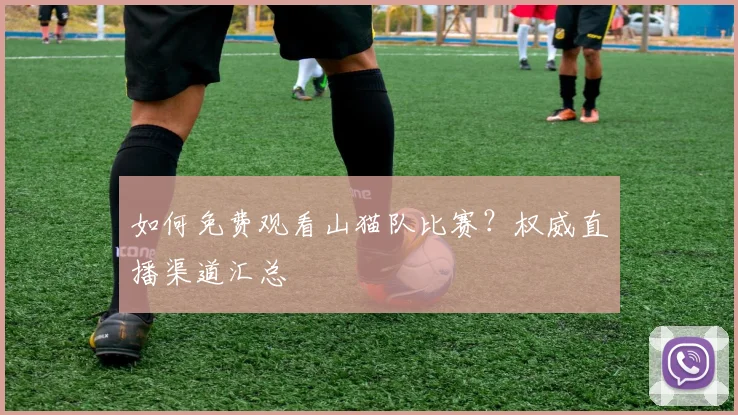 如何免费观看山猫队比赛?权威直播渠道汇总